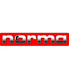 Amunicja kulowa Norma